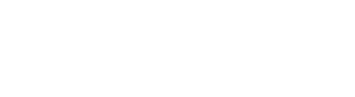 IFAN Group